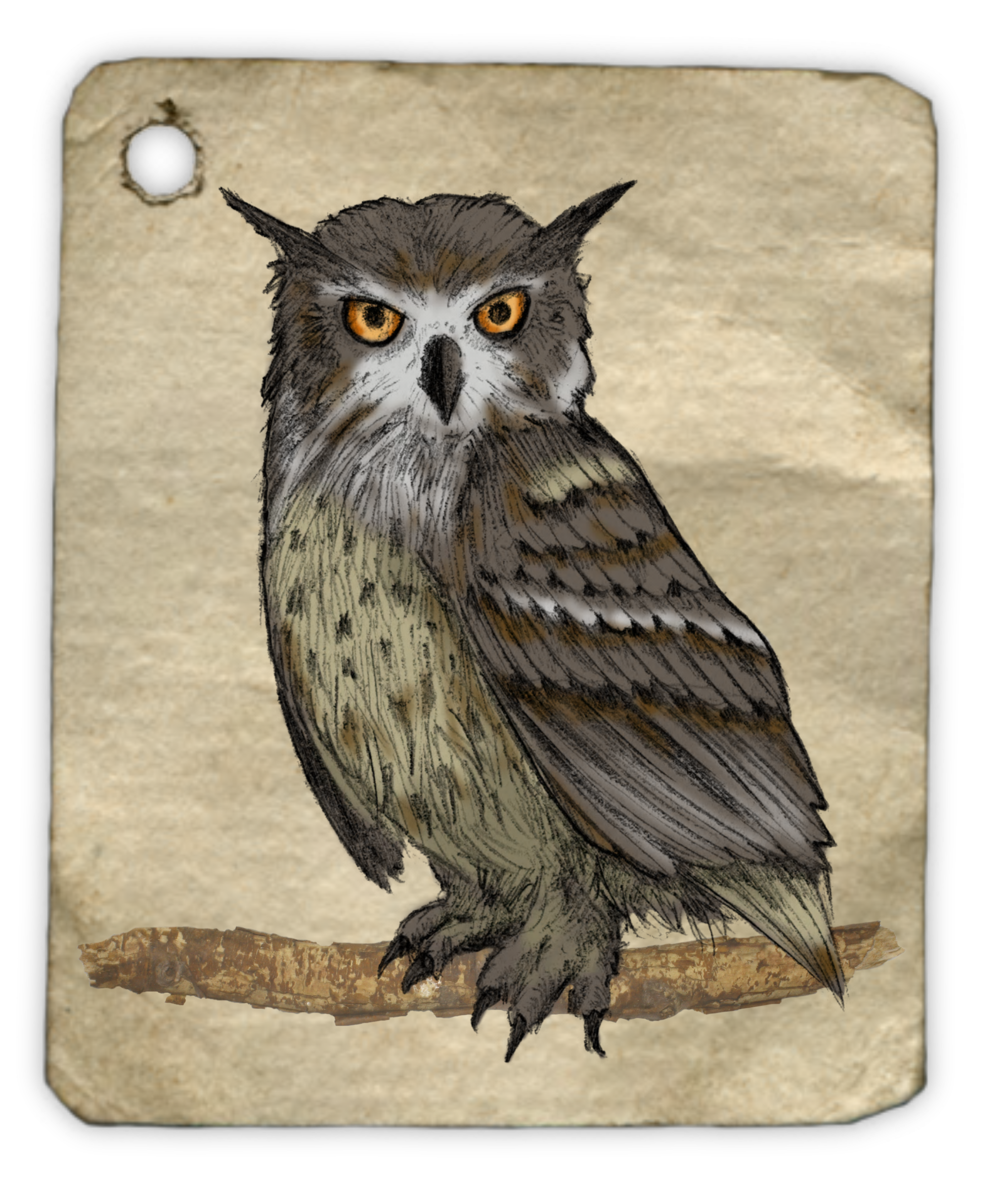 Owl Painting Watercolor Animal Tag 1485637 - Lukisan Hewan Burung Hantu Clipart (2157x2512), Png Download