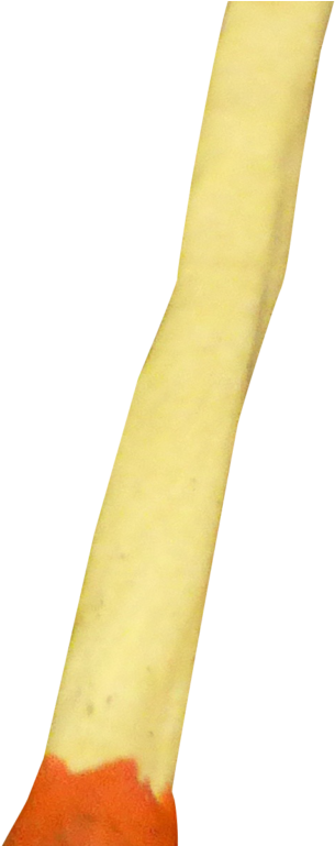 Matchstick Png Transparent Image - Goose Clipart (1024x768), Png Download
