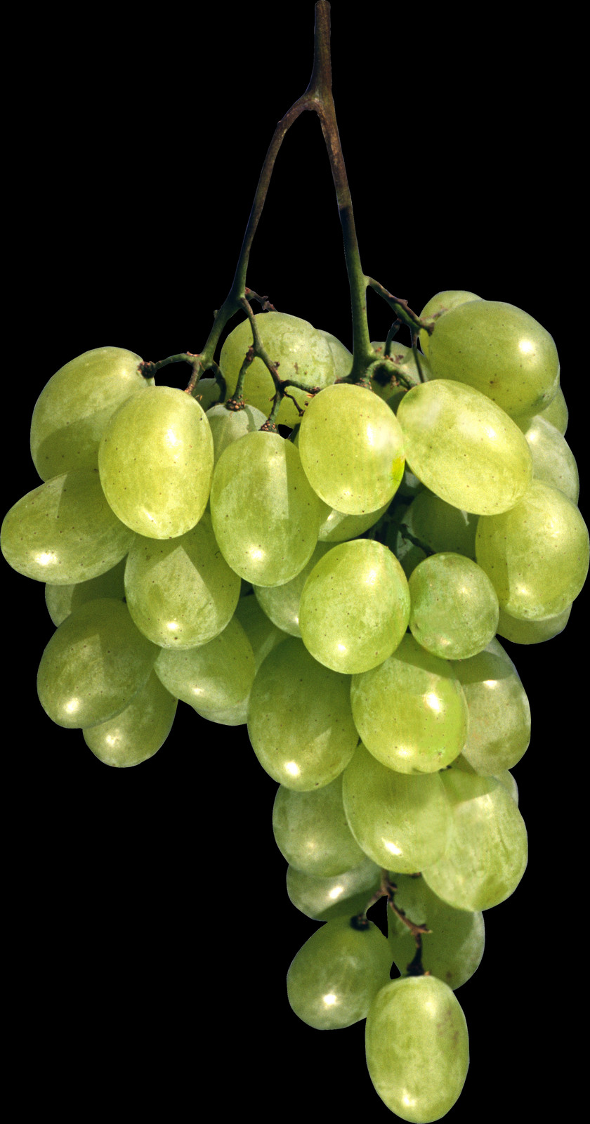 Виноград Фото Clipart (840x1600), Png Download
