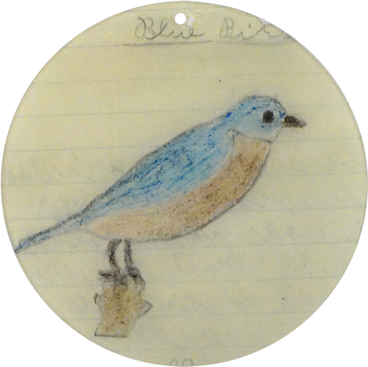 Mountain Bluebird Clipart (800x800), Png Download