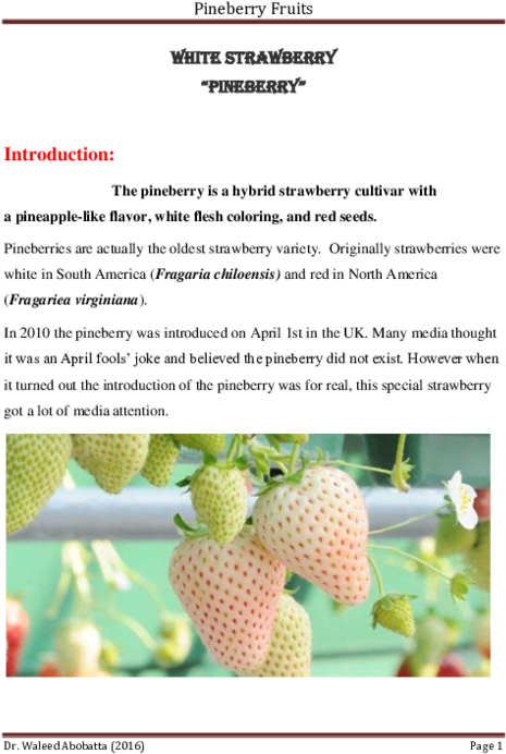 Pdf - White Strawberry Clipart (600x776), Png Download