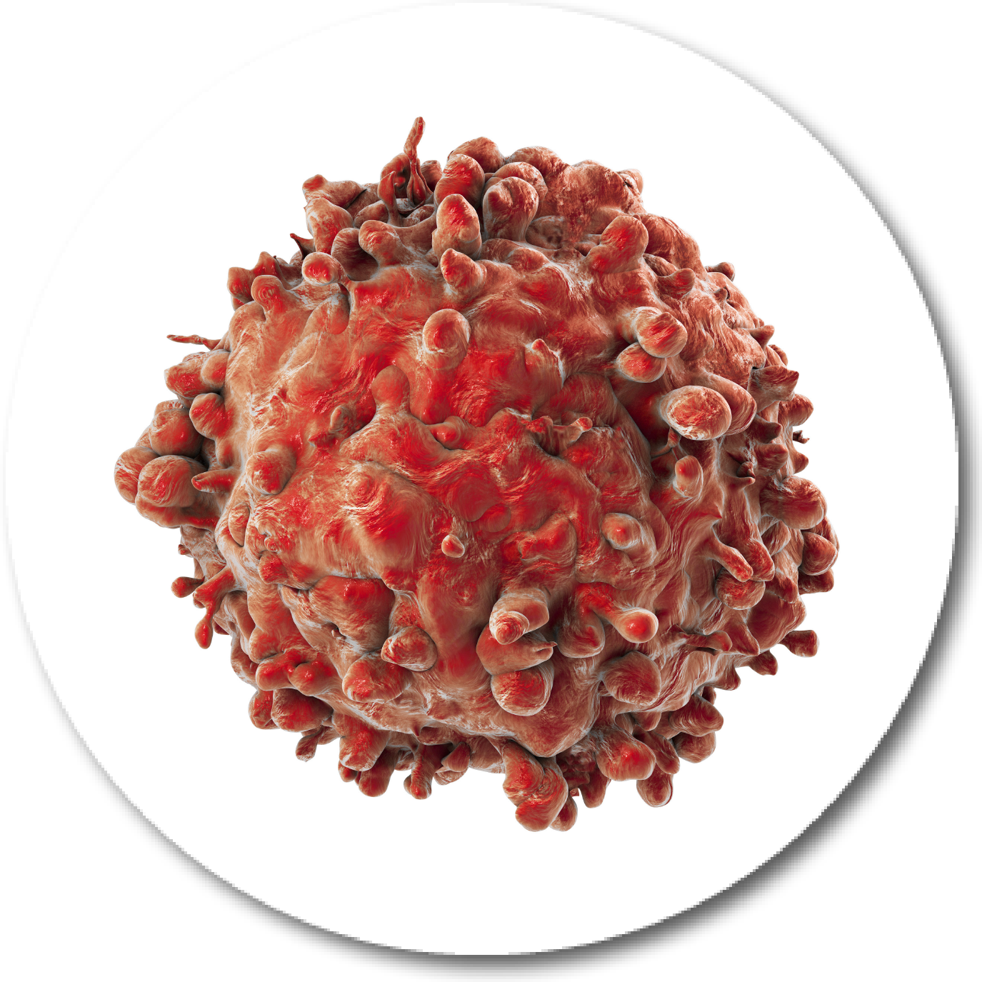 Download Png Clipart (1375x1375), Png Download