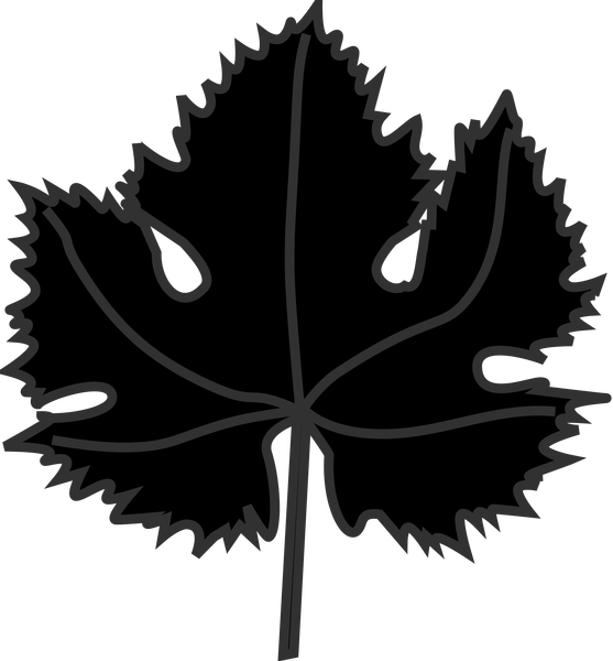 Image Freeuse Clipart Vines Download Wallpaper Full - Senior Beta Club Seal - Png Download (557x600), Png Download