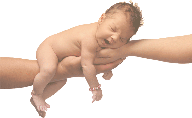 Baby Friendly Online Education - Baby Education Clipart (800x504), Png Download