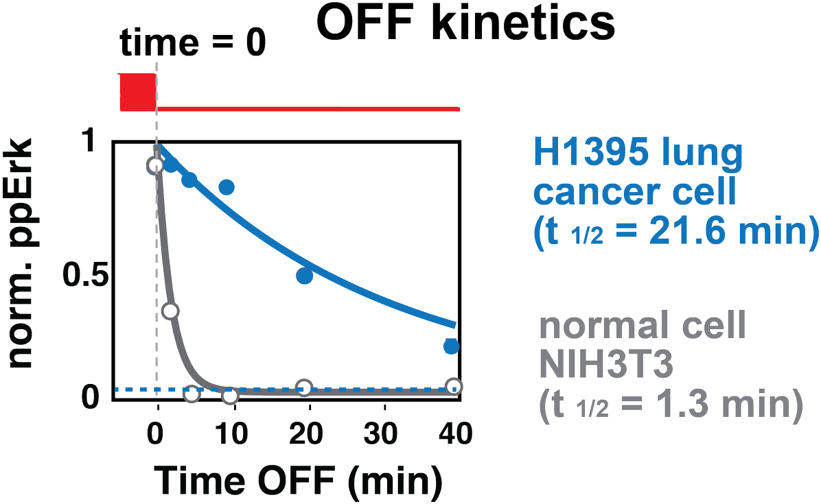 @toettch) And Found That Unlike Normal Cells, A Certain - Say No To Politics Clipart (1200x754), Png Download