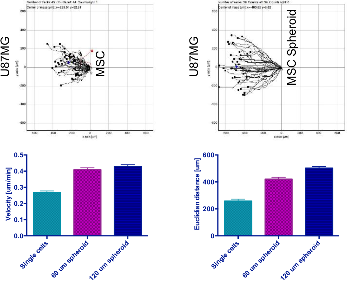 The Condition Media Also Effectively Killed The Cancer - Orexin Parkinson's Disease Clipart (1140x914), Png Download