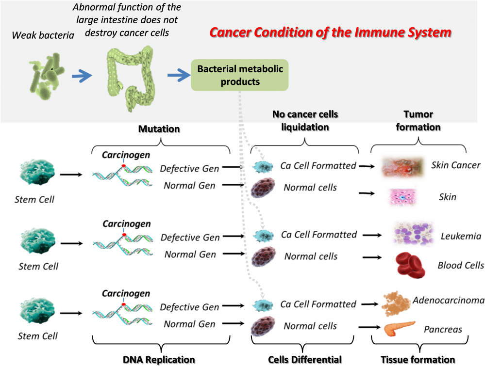 This Phenomenon Is Called The Oncopolitical Activity - Abnormal Immune Cancer Clipart (1024x780), Png Download