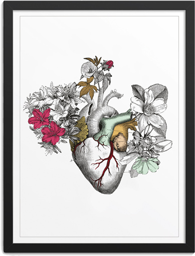 Cuadro Corazón Blanco - Illustration Clipart (800x600), Png Download
