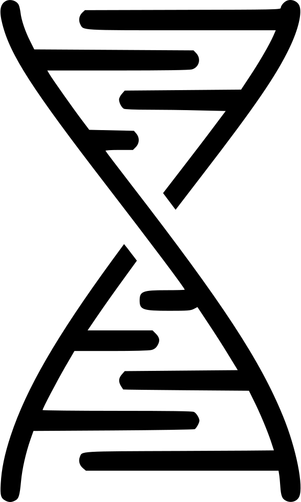 Png File Svg - Shape Of A Gene Clipart (588x980), Png Download