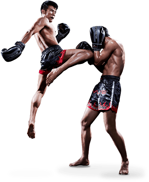 Muay Thai Training Program - Muay Thai Clipart (600x600), Png Download