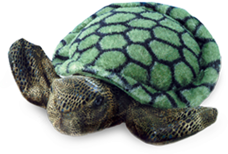 Unicorn - Adopt A Turtle Clipart (800x800), Png Download
