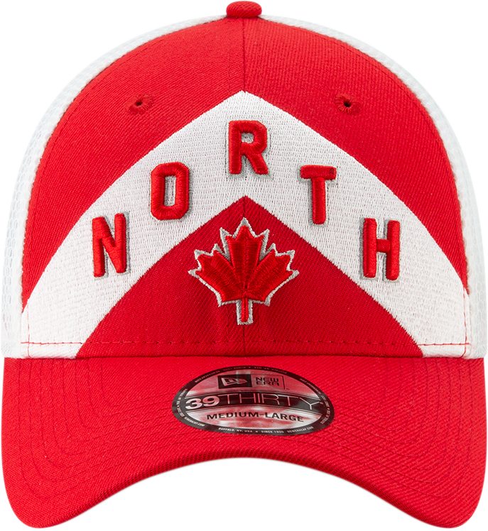 Picture Of Nba Toronto Raptors City Series Christmas - Toronto Raptors Earned Jersey Clipart (687x748), Png Download