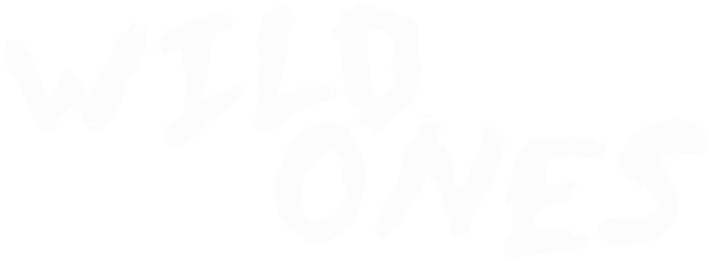 Wild Ones-1 - Wild Ones Youth Alive Clipart (1000x383), Png Download