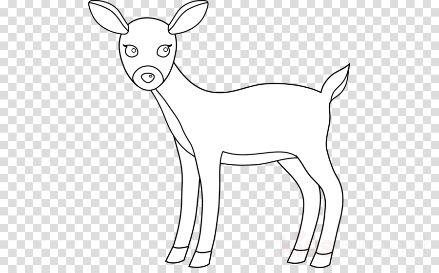 Deer Black And White Png Clipart White-tailed Deer - Jake The Dog Png Transparent Png (900x560), Png Download