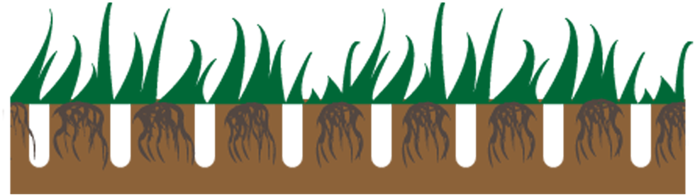 Lawn Aeration - Grass Clipart (1100x480), Png Download