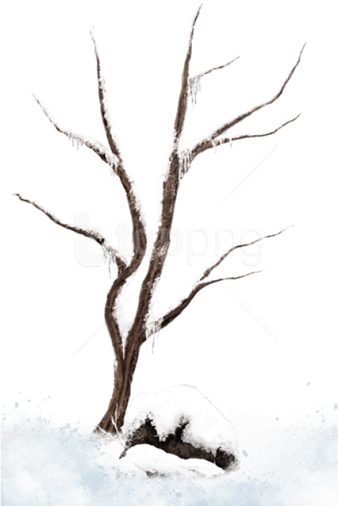 Free Png Download Brown Winter Snowy Treepicture Png - Winter Tree In Png Clipart (480x735), Png Download