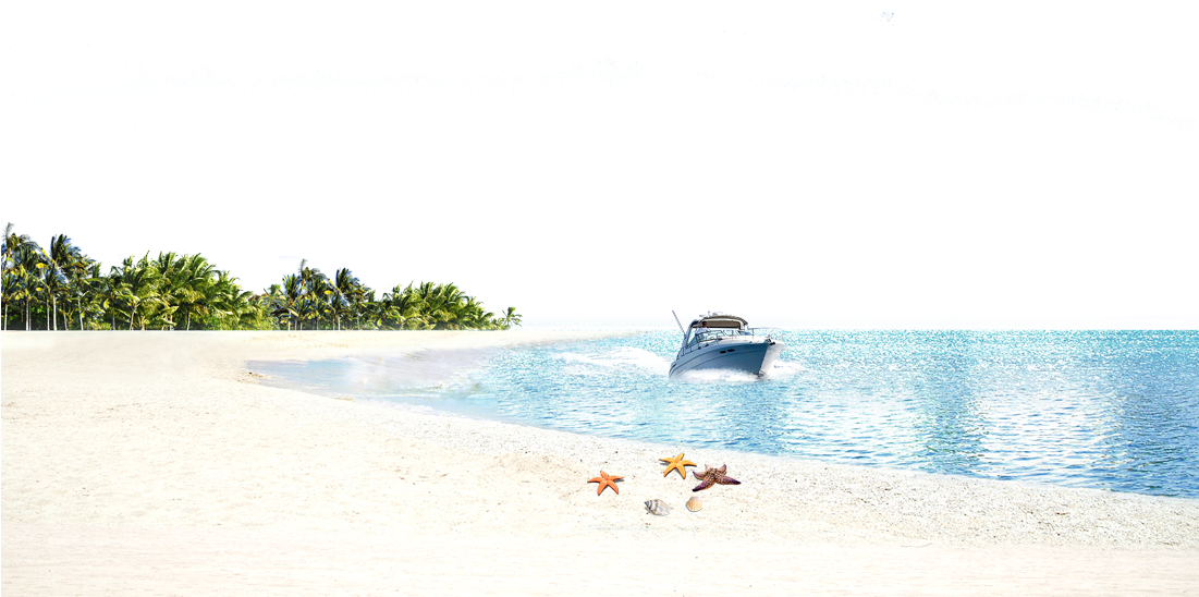 Vector Beach Background Wallpaper - Beach Clipart (1101x548), Png Download