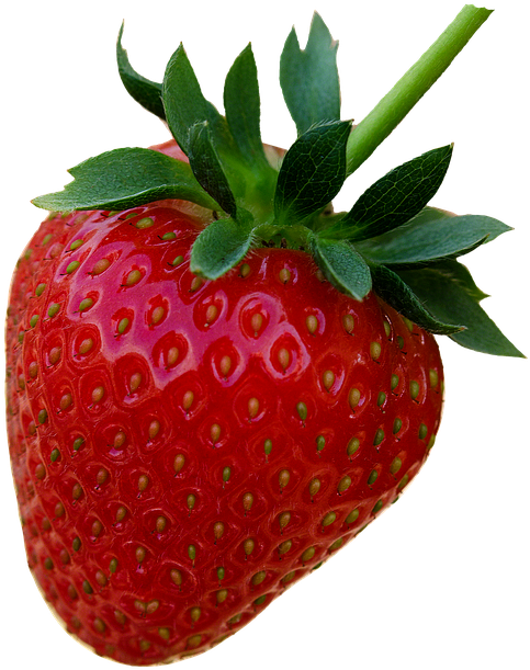 Strawberry Red Fruit Berries Summer Fruits - Strawberry Clipart (513x720), Png Download