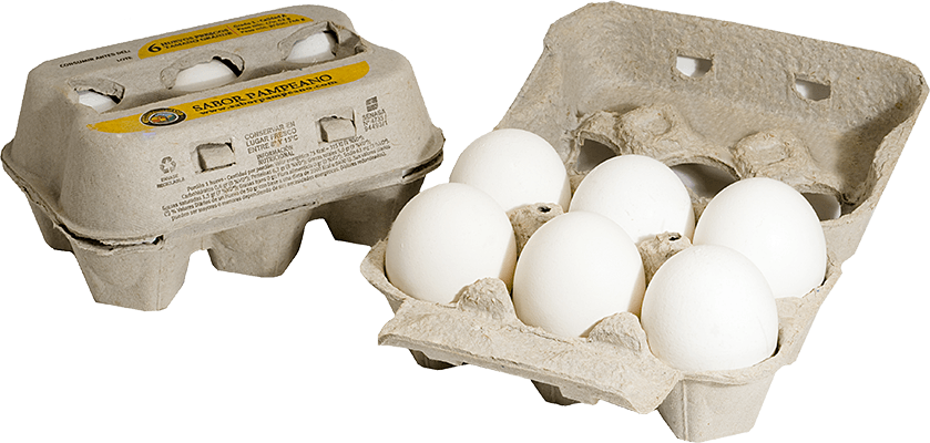 Egg Clipart (839x400), Png Download