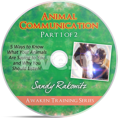 Cd Clipart (600x536), Png Download