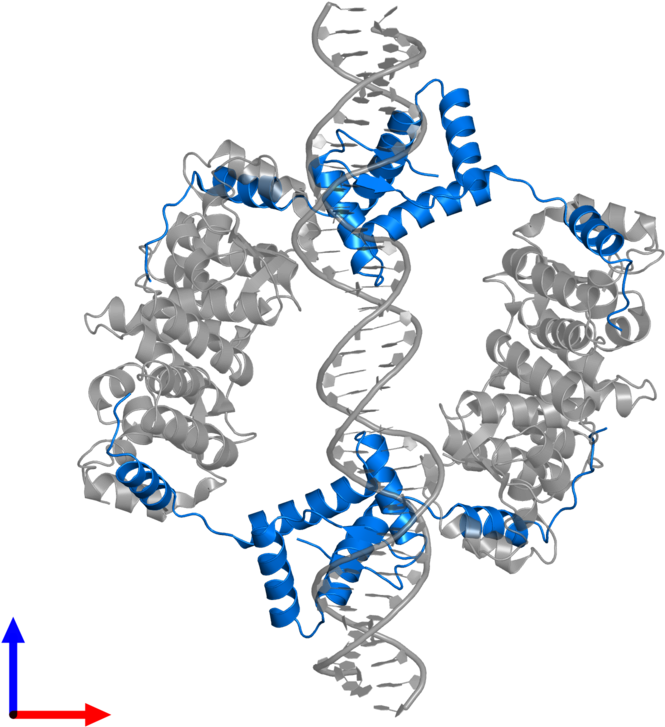 <div Class='caption-body'>pdb Entry 2h1o Contains 4 - Illustration Clipart (800x800), Png Download