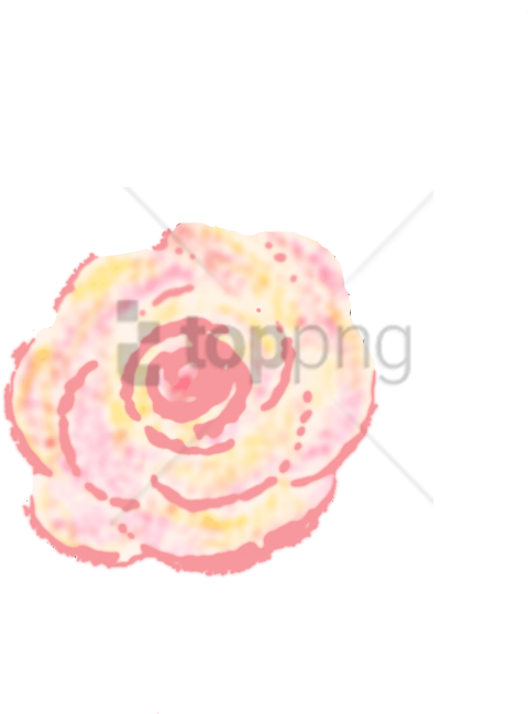 Free Png Download Persian Buttercup Png Images Background - Hybrid Tea Rose Clipart (480x649), Png Download