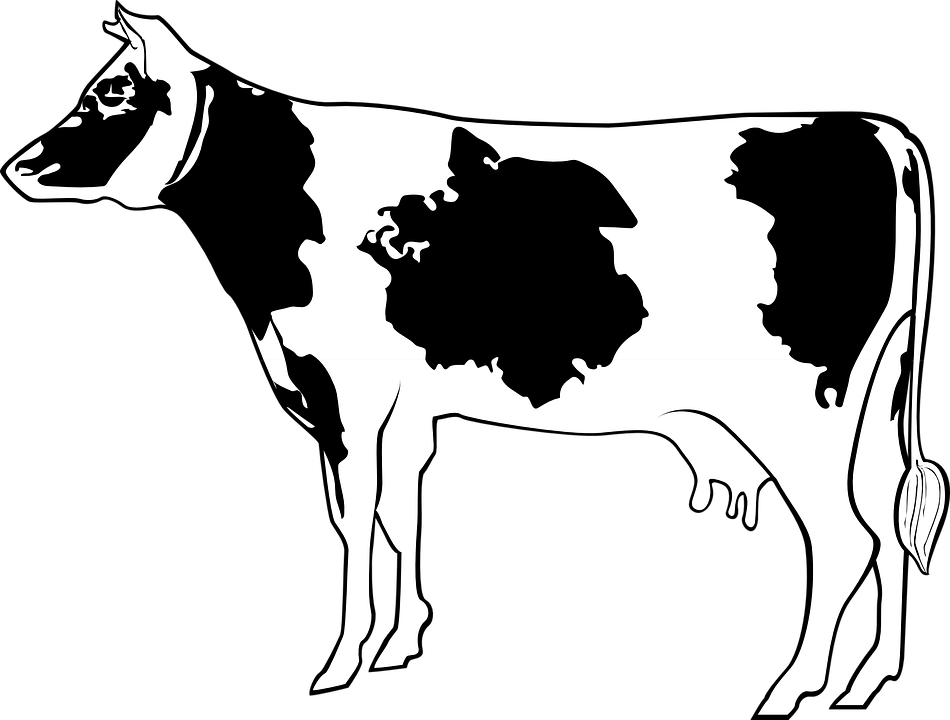 Cow Livestock Cattle Farm Animal Beef Milk - Cartoon Cow Side View Clipart (950x720), Png Download