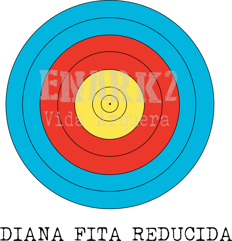 Diana Fita - Circle Clipart (800x829), Png Download