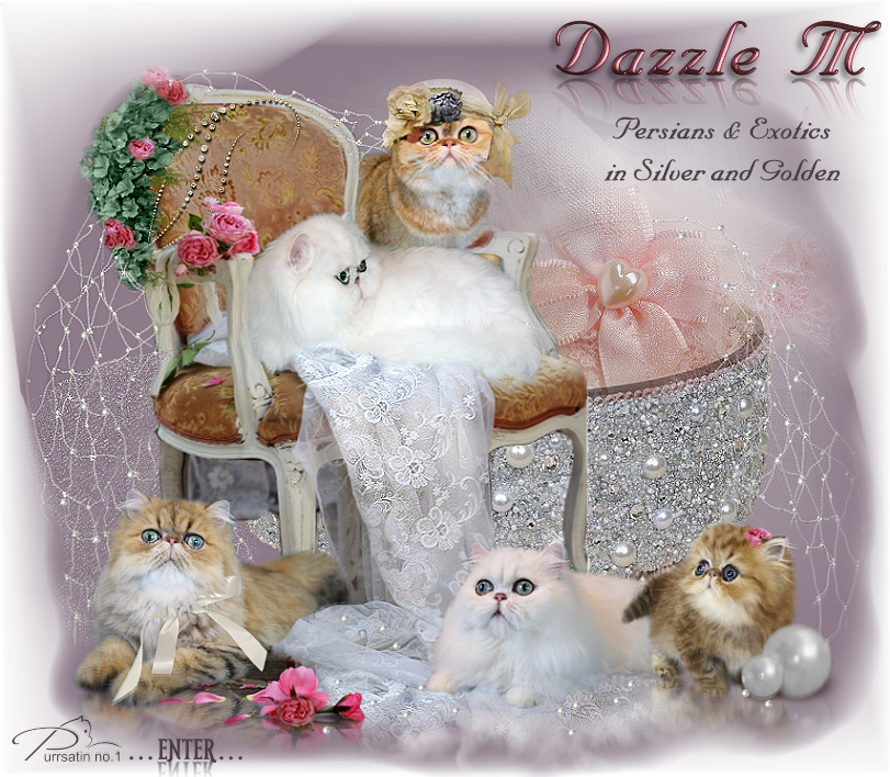 Kitten Clipart (811x708), Png Download