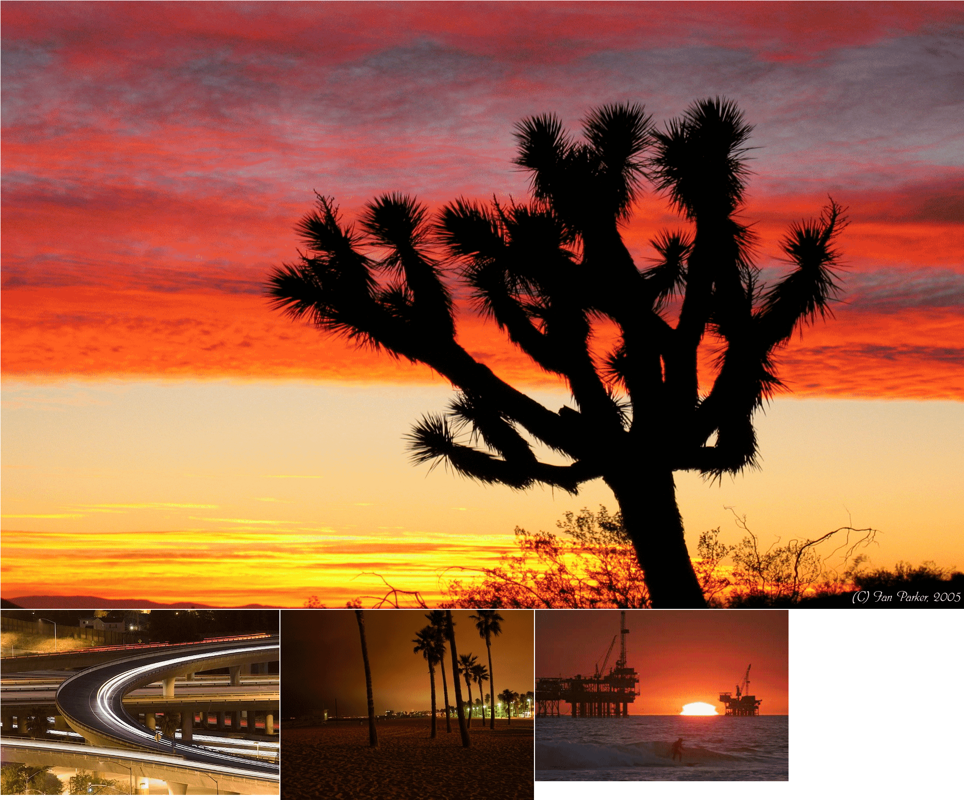 Car Atlas - Beautiful Sunset Joshua Tree Clipart (2048x2048), Png Download
