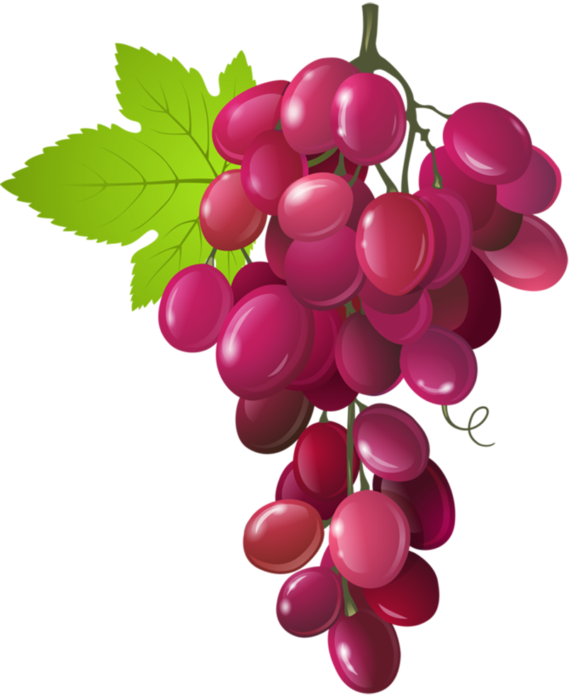 Grapes Clipart Fruit Vegetable - Benefits Of Grapes - Png Download (803x982), Png Download
