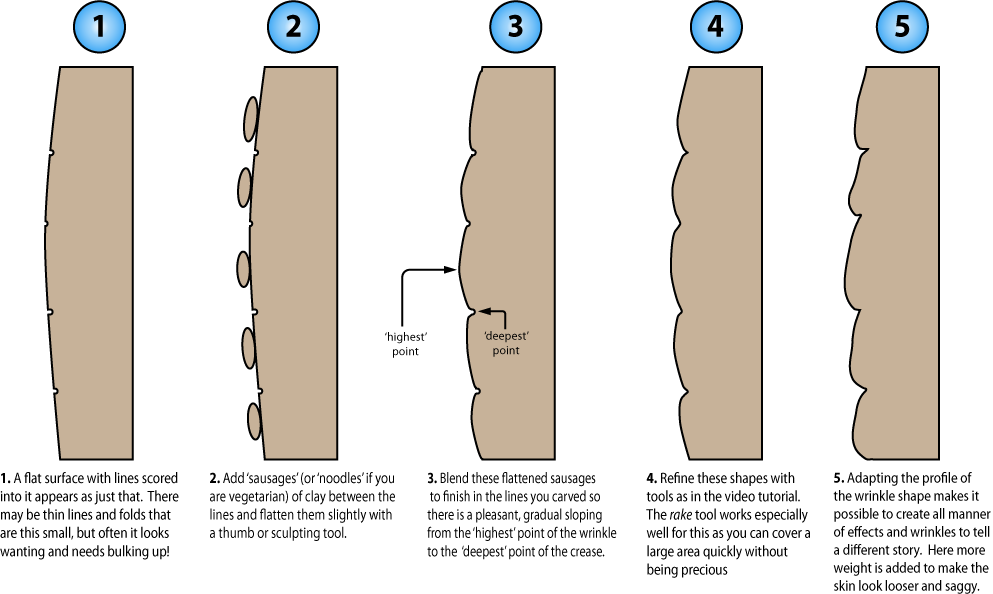 Illustration Showing A Cross Section Of Wrinkle Sculpting - Wrinkle Cross Section Clipart (993x594), Png Download