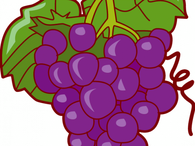 Grapes Clipart Pop Art - Fruits Clipart - Png Download (640x480), Png Download