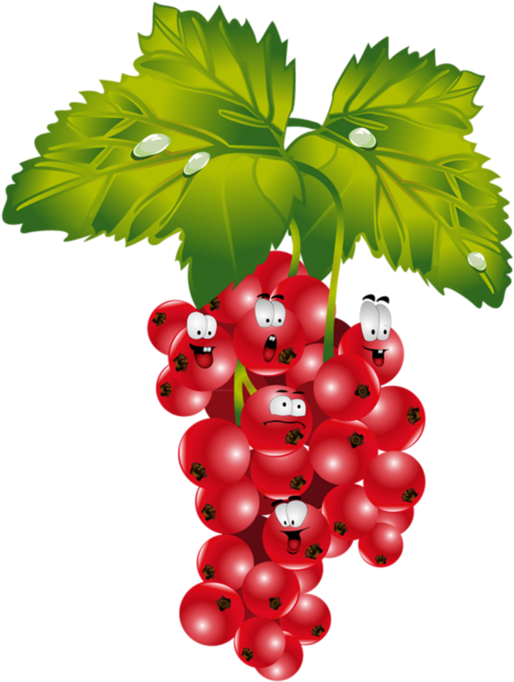 Grape Clipart Emoji - Rote Johannisbeere Transparent Clipart - Png Download (800x1025), Png Download