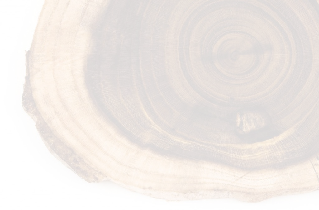 Tree Rings , Png Download - Wood Clipart (1024x674), Png Download