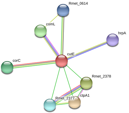 Circle Clipart (975x402), Png Download