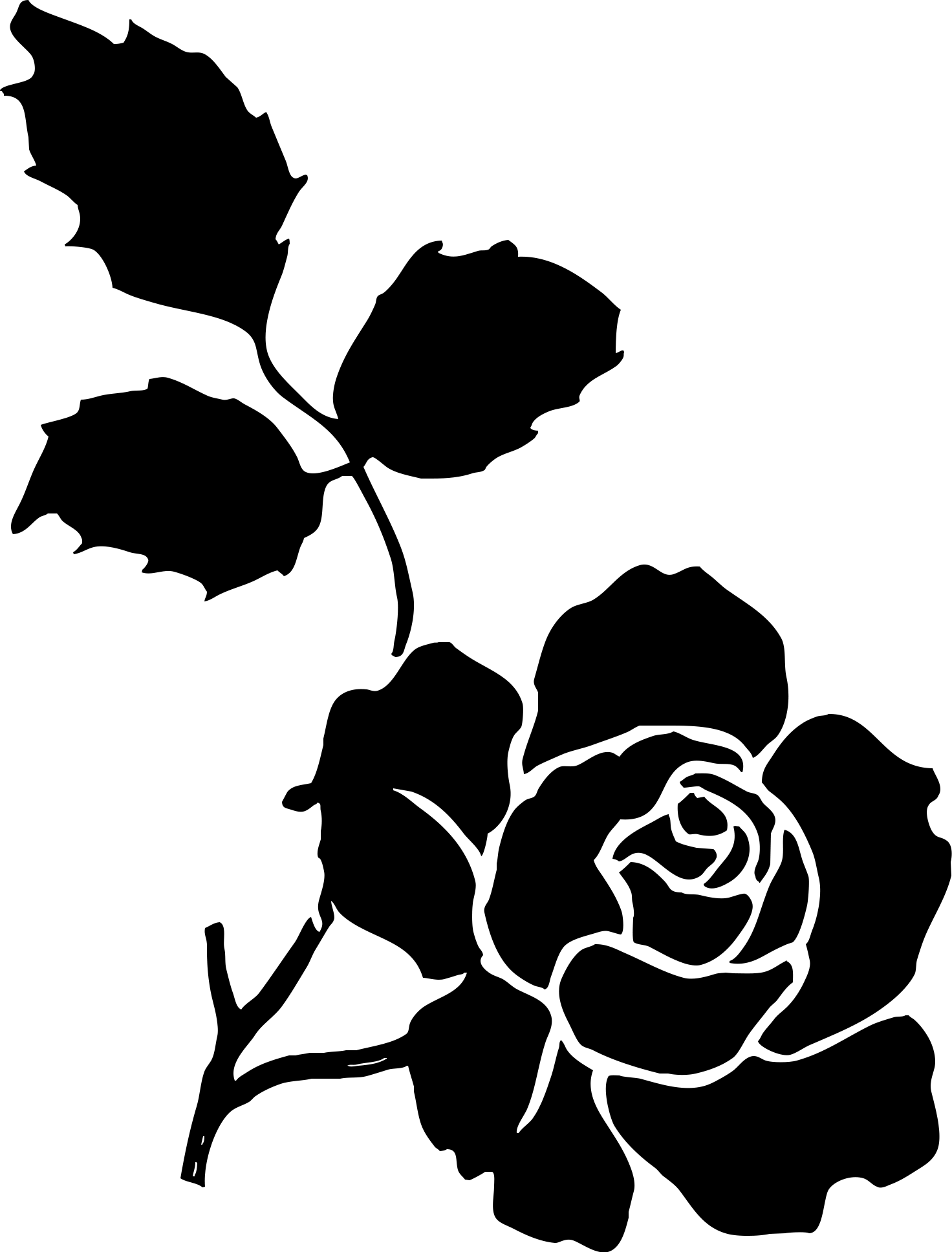 Stencil, Art, Royaltyfree, Rose Order, Monochrome Photography Clipart (1472x1936), Png Download