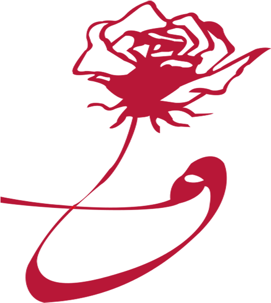 Rose Png - Illustration Clipart (540x710), Png Download