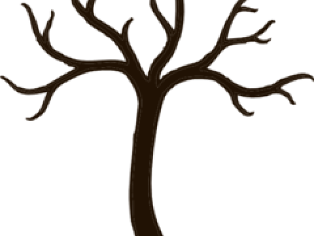 Branch Clipart Tree Stick - Tree Without Leaves Stencil - Png Download (640x480), Png Download