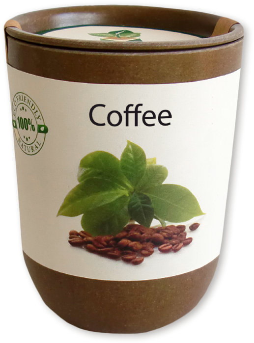 Flowerpot Clipart (800x800), Png Download