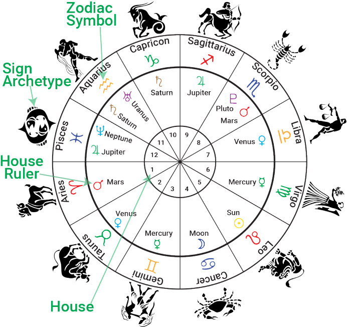 03 Infographic Houses Signs Rulers - Natal Chart Houses Clipart (700x664), Png Download