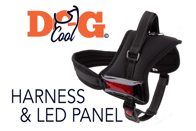 Original - Buckle Clipart (680x456), Png Download