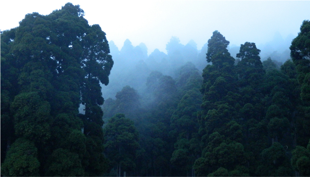 Score 50% - Landscape / Leaves Clipart (1000x1000), Png Download