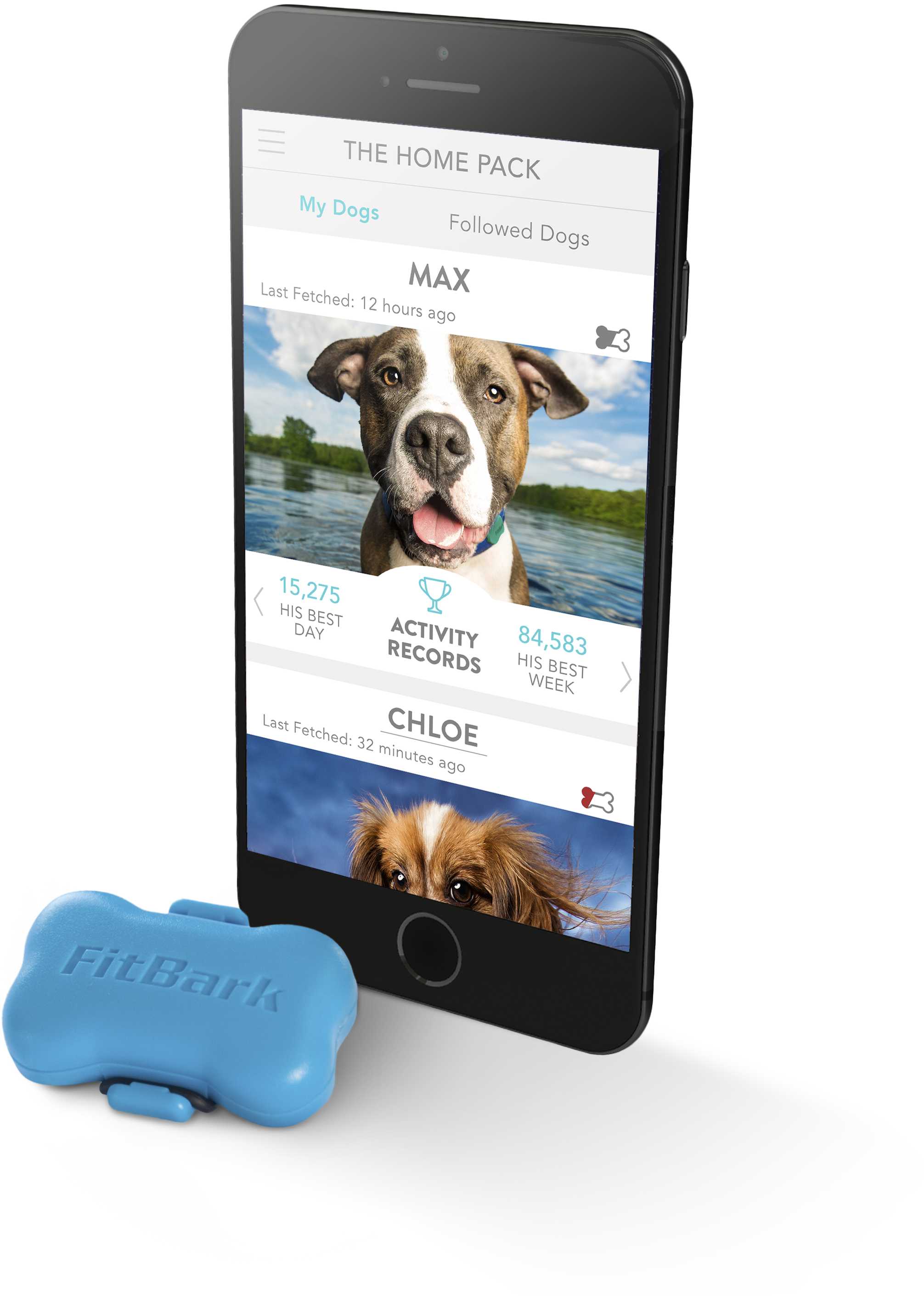 Fitbark Dog Activity Monitor - Iphone Clipart (2012x2821), Png Download