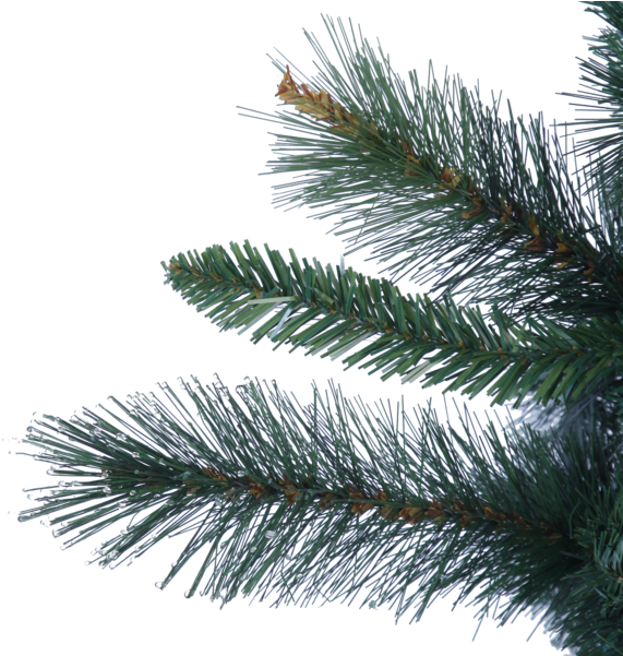 Christmas Tree Halifax Julgran Halifax Clipart Large Size Png Image
