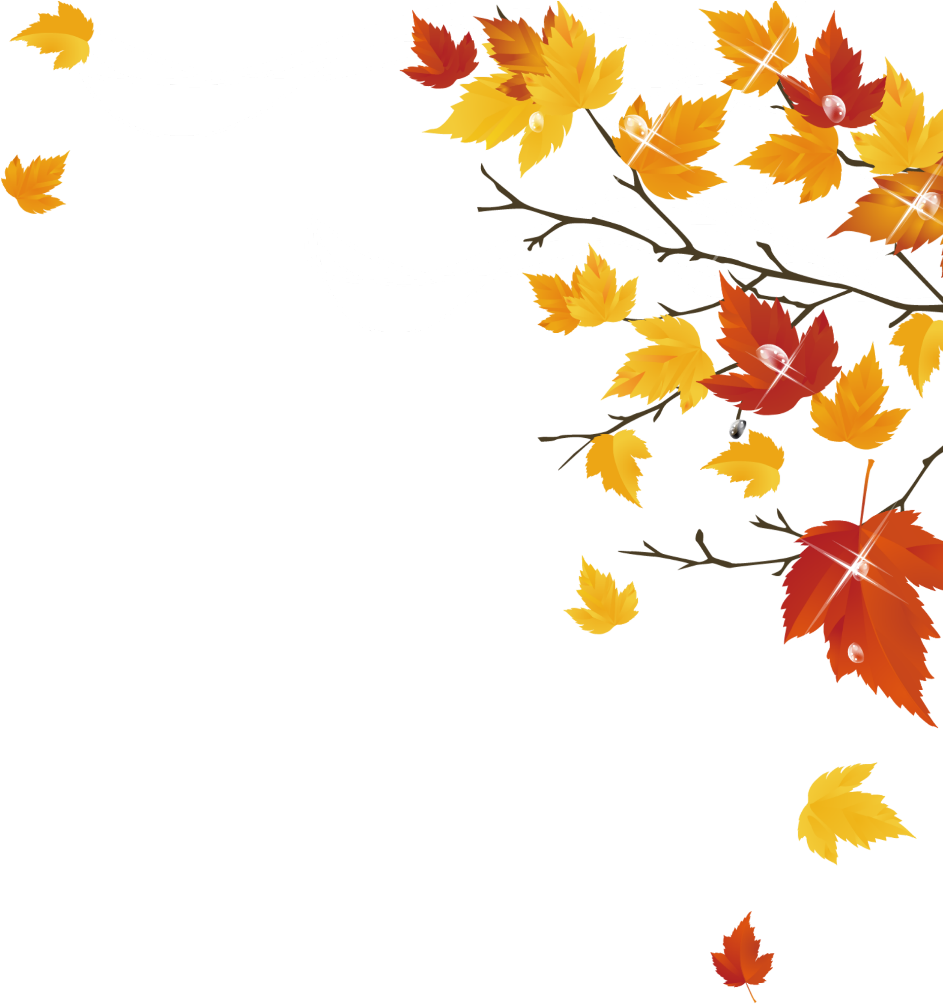 #mq #yellow #orange #leaf #leafs - Autumn Clipart (1024x1024), Png Download