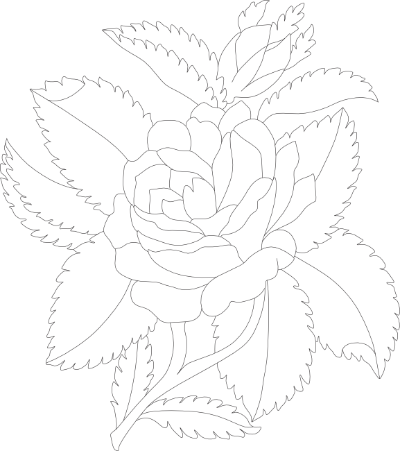 And Here Is The Same Image As The Last But Just The - Hybrid Tea Rose Clipart (577x650), Png Download