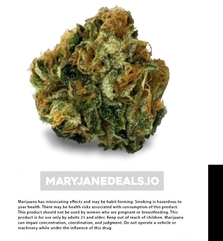 Bud Clipart (750x819), Png Download