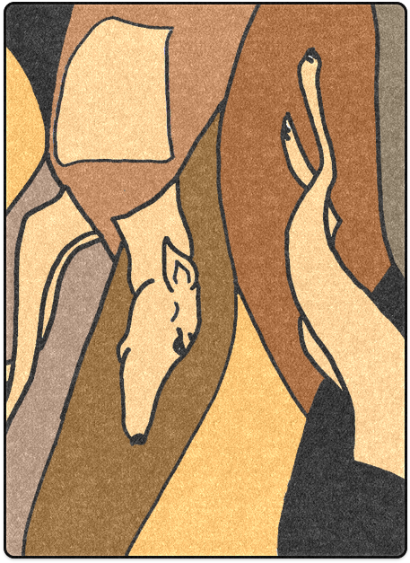 Illustration Clipart (800x800), Png Download