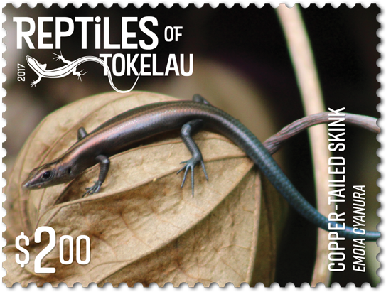 Single Stamp - Former City Hall Clipart (600x600), Png Download